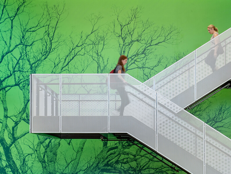 Student walking down a flight of stairs