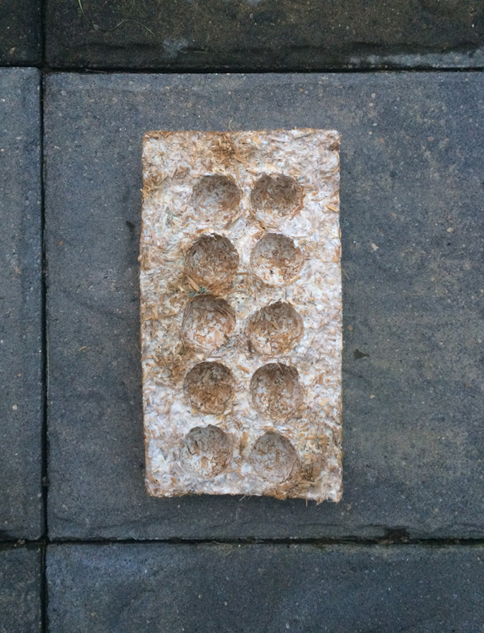 Spring 2017 Innovation Incubator – Tactical Mycelium