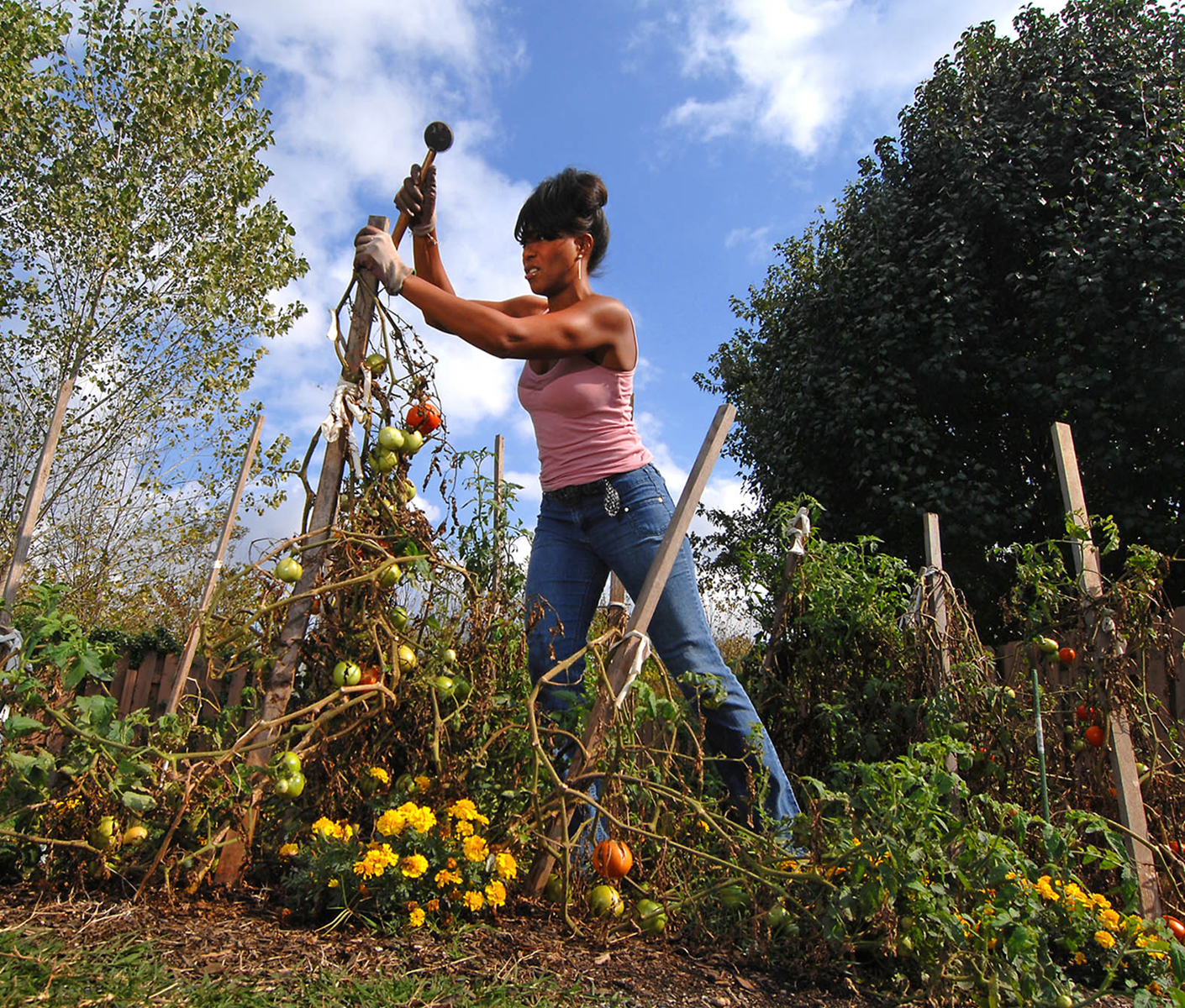 Gardening to bring much needed local and sustainable food to people that need it most.